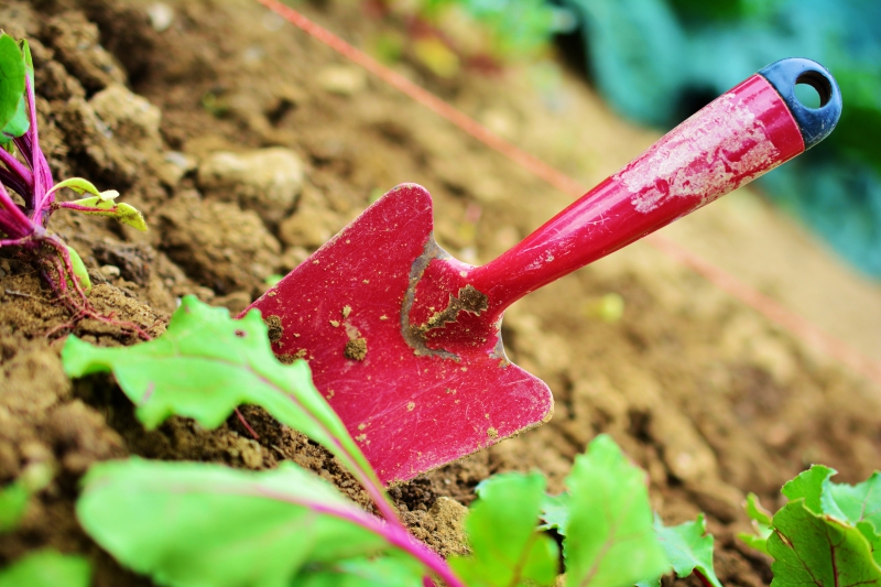 sasu-ST AUBAN-min_gardening-2448134